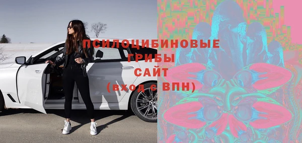 ECSTASY Рославль