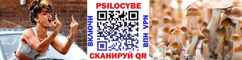 МЕГА ссылка  Костерёво  Псилоцибиновые грибы Cubensis 